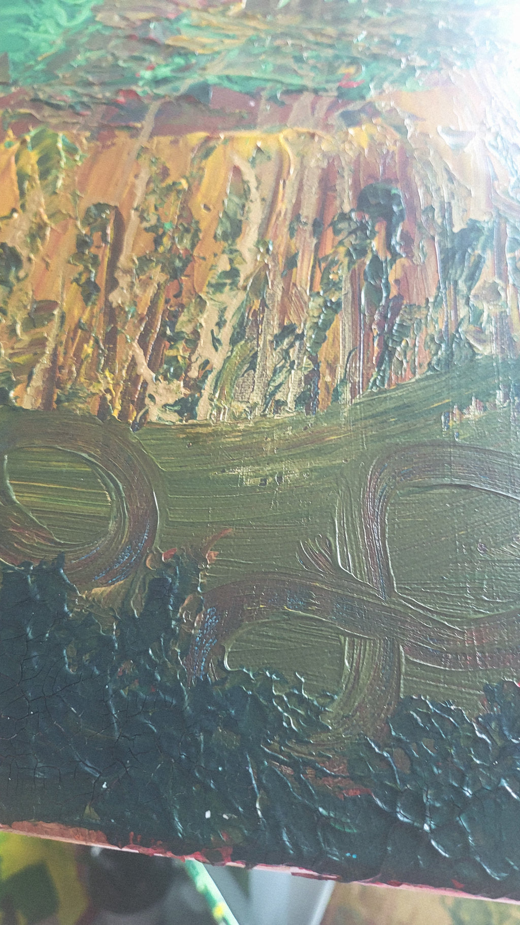 The Infinite  Rainforest