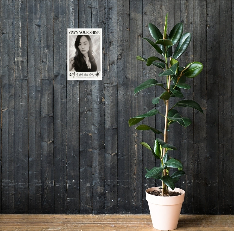 "Own your shine" signature portrait fine art Poster by artist Nahee